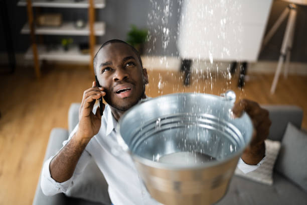 Best Professional water damage repair  in Upper Pohatcong, NJ