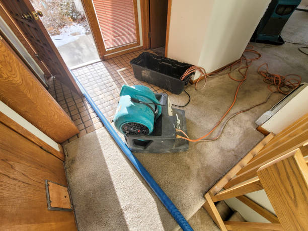 Best Carpet water damage restoration  in Upper Pohatcong, NJ