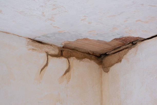 Best Flood damage cleanup  in Upper Pohatcong, NJ