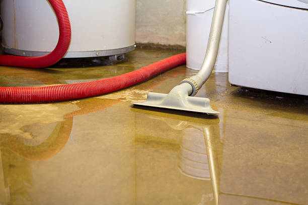 Best 24/7 water damage repair  in Upper Pohatcong, NJ