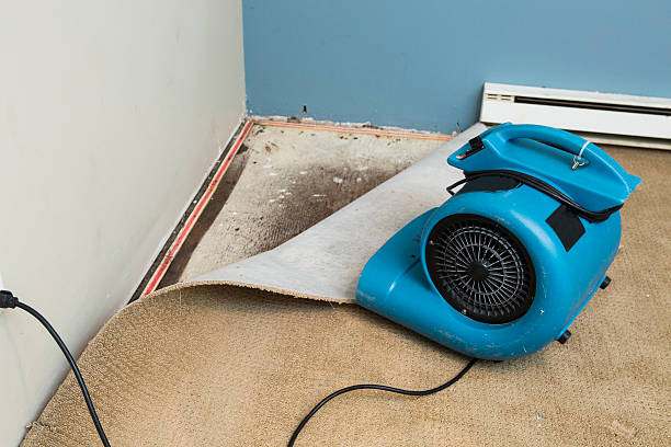 Best Basement water damage restoration  in Upper Pohatcong, NJ